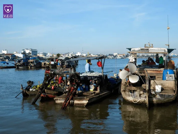  Tham quan làng bè