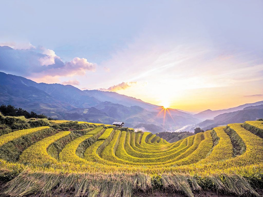 Những thửa ruộng được cắt tầng tầng lớp lớp ôm sát triền núi