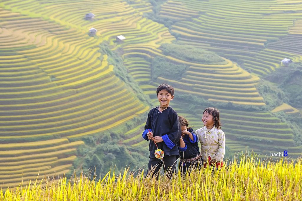Mỗi mùa trong năm, vẻ đẹp ruộng bậc thang Mù Cang Chải lại có một màu sắc khác nhau, nhưng đặc biệt nhất là vào mùa lúa chín.