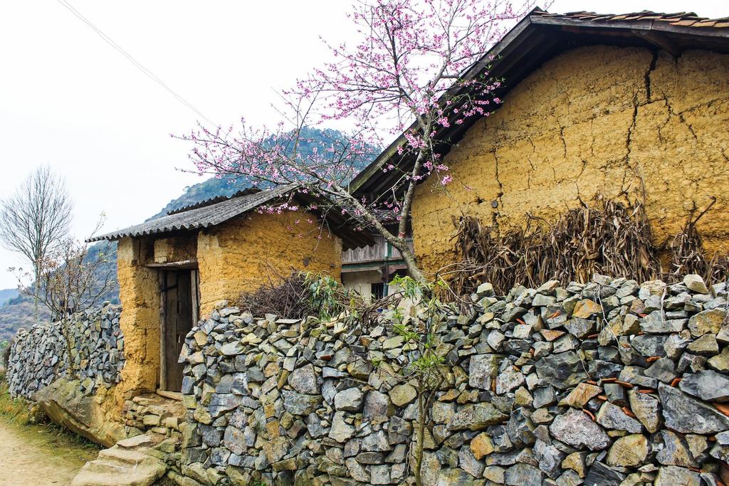 Top 5 homestay ha giang