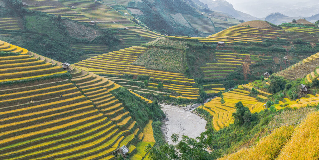 chế cu nha