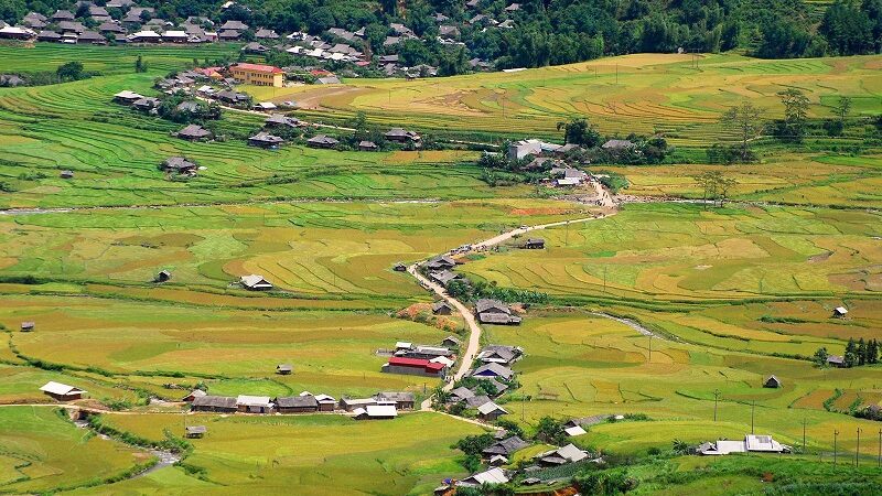 bản lìm mông