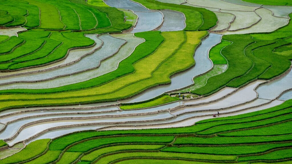 du lịch mù cang chải mùa nước đổ