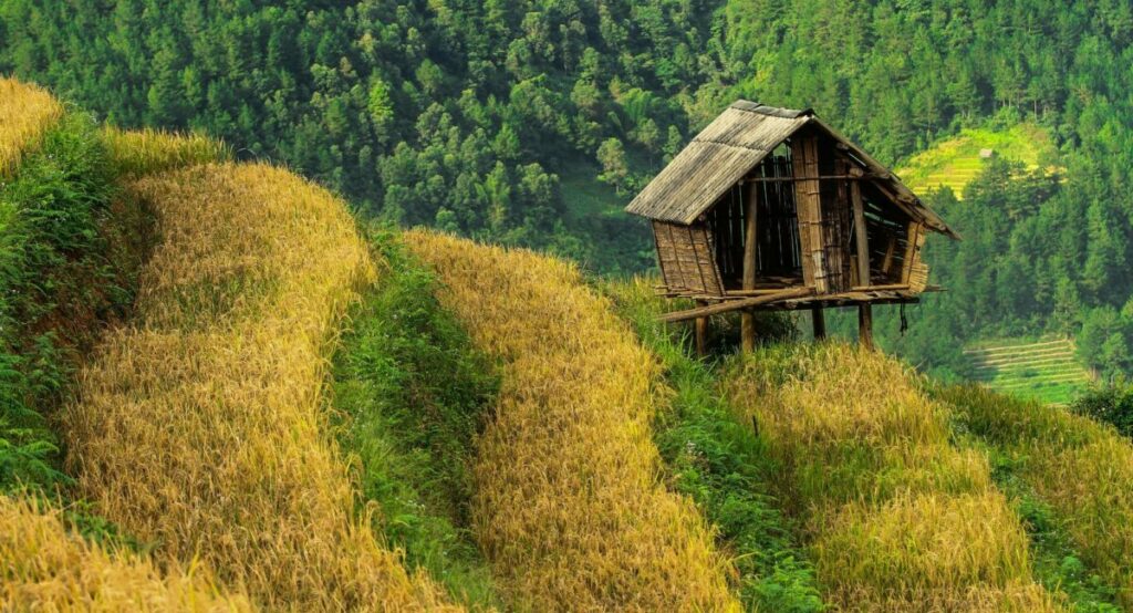 tú lệ yên bái