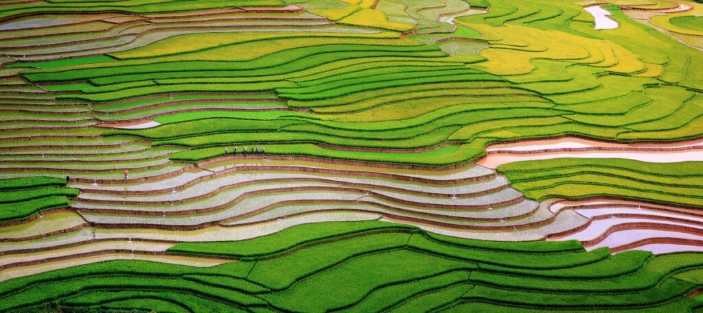 tú lệ yên bái