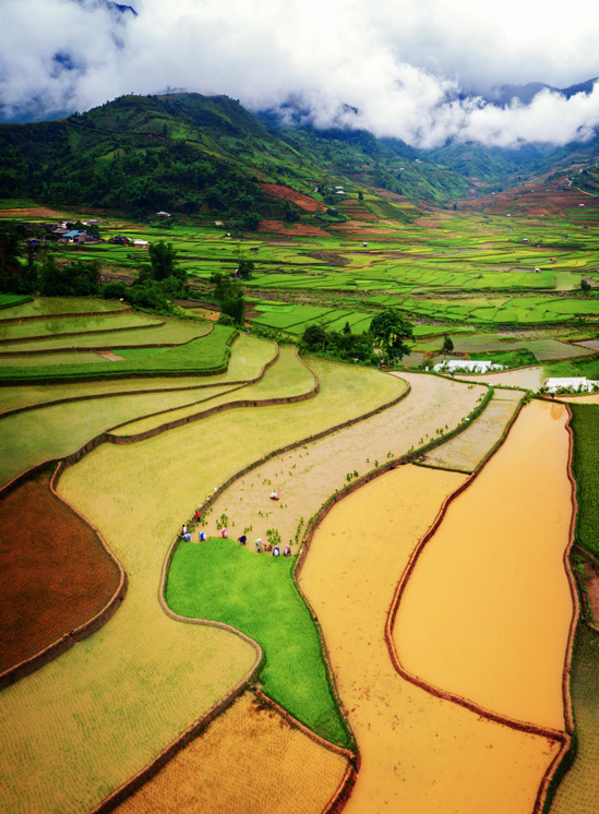 tú lệ yên bái