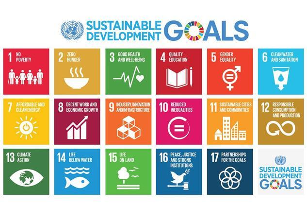  17 Mục tiêu Phát triển Bền vững (SDGs) 