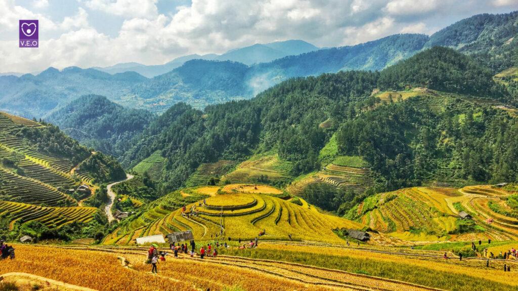 Ít ai biết ở Mù Cang Chải có một viên ngọc ẩn mình giữa núi rừng hoang sơ - đồi mâm xôi La Pán Tẩn