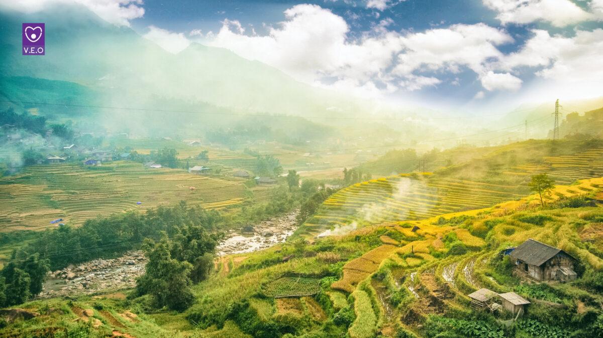 Ngỡ ngàng trước vẻ đẹp của Tả Van Sapa mùa lúa chín vàng rực rỡ