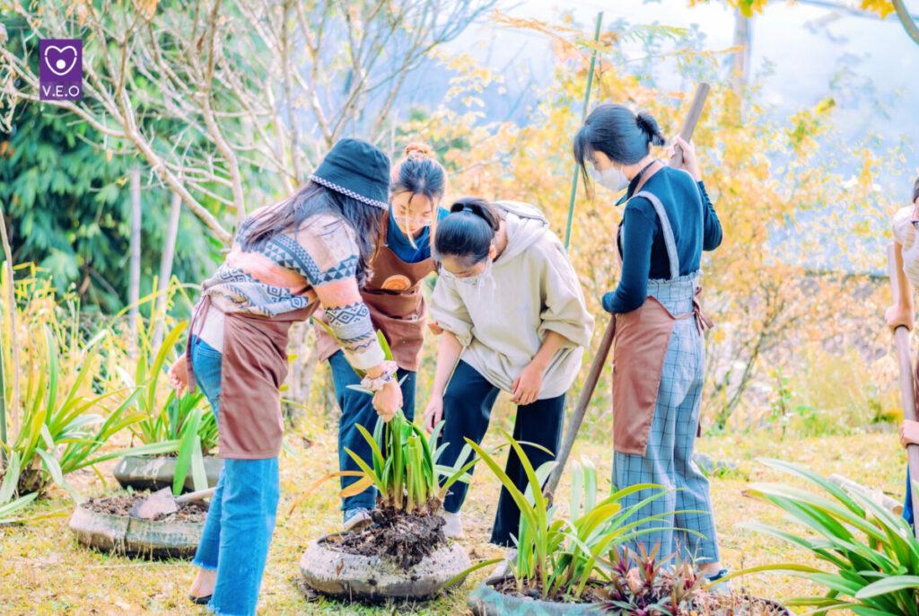 Có rất nhiều loại hoạt động xã hội mà bạn có thể tham gia để làm đẹp hồ sơ du học