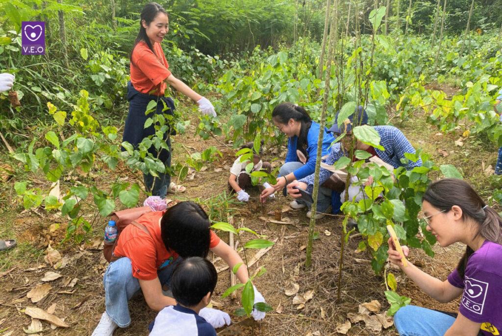 Hoạt động trồng cây, gây rừng tại Vườn Quốc gia Xuân Sơn trên hành trình tình nguyện mang giá trị sống tích cực về bản nhỏ