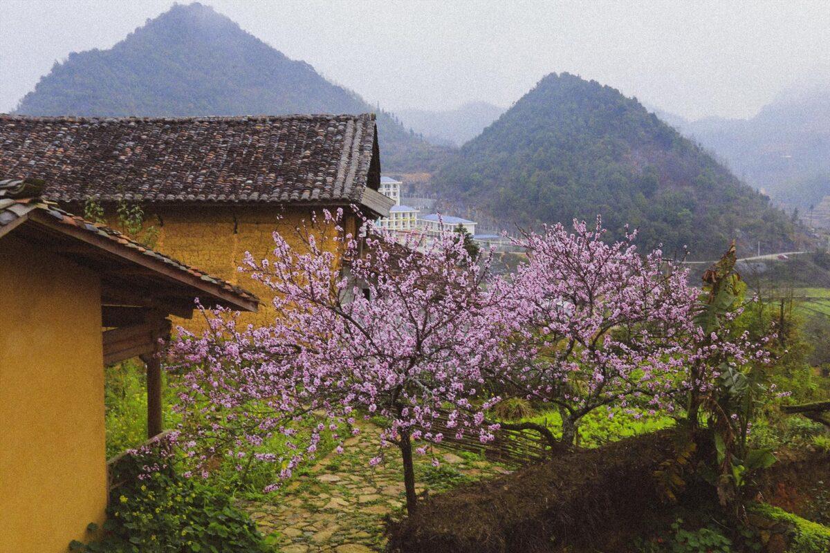 Lô Lô Chải - Hà Giang: Khám phá ngôi làng cổ kính bên dưới Cột Cờ Lũng Cú