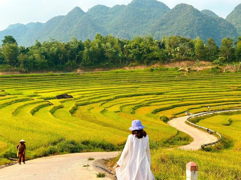 Mùa lúa chín ở Pù Luông Thanh Hóa