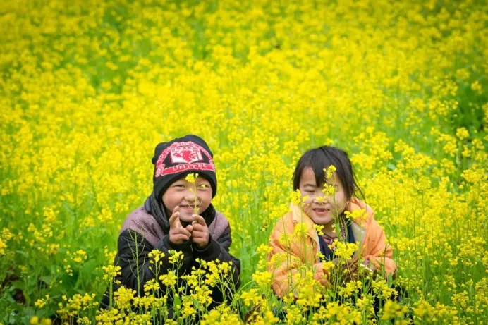 Du lịch Hà Giang: Kinh nghiệm khám phá chi tiết nhất