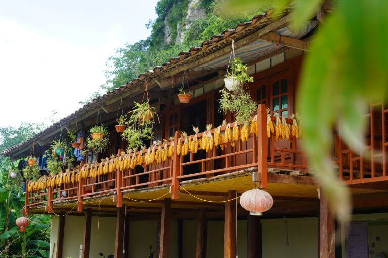 Toàn bộ những ngôi nhà trong làng đều được lập mái ngói âm dương và hướng về phía Nam.