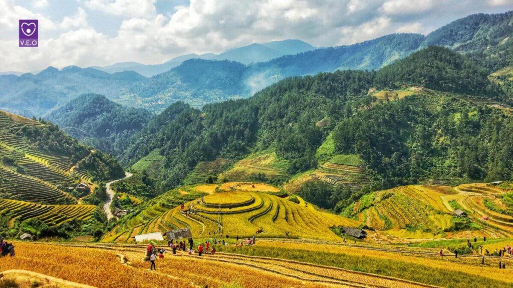 Đồi Mâm Xôi La Pán Tẩn được mệnh danh là "cảnh đắt giá trời cho" và được nhiều du khách yêu thích 