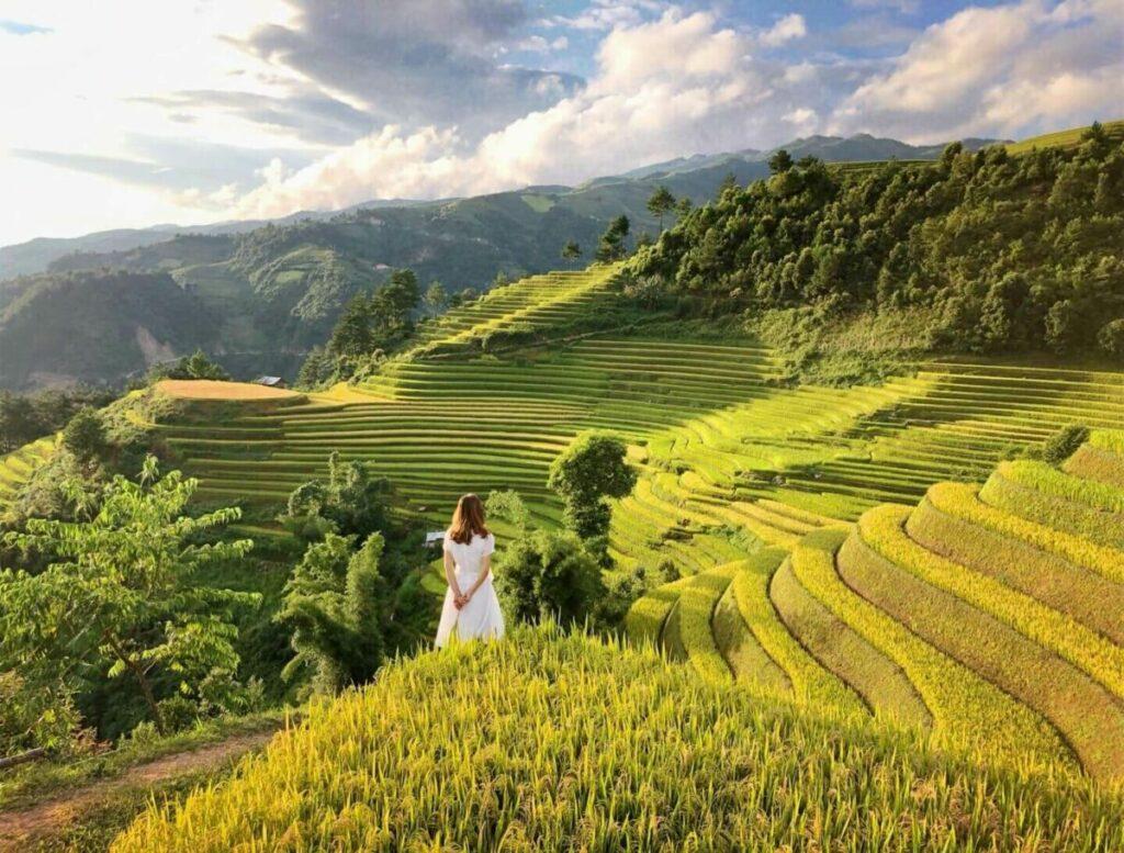 ruộng bậc thang la pán tẩn
