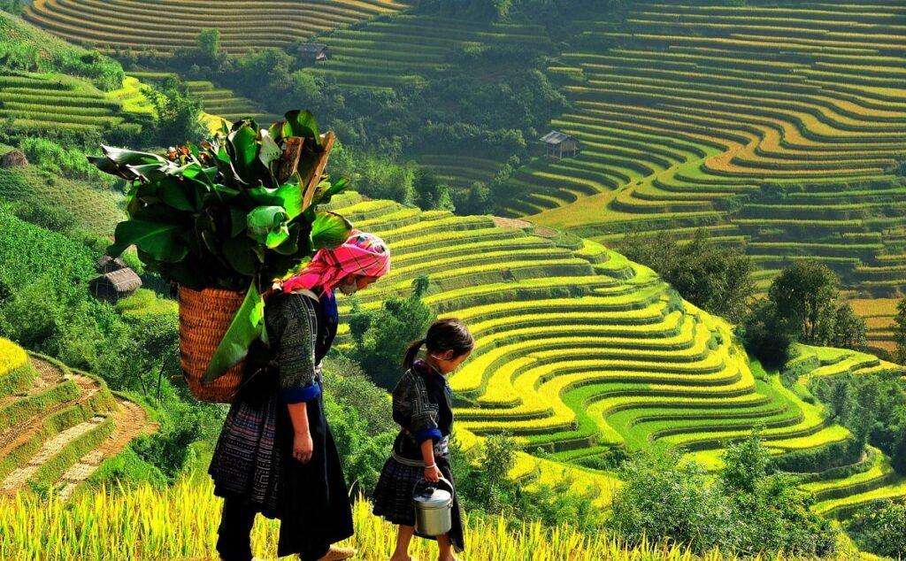 Bạn nên tìm hiểu về văn hóa và phong tục tập quán của người dân địa phương trước khi du lịch đến đây