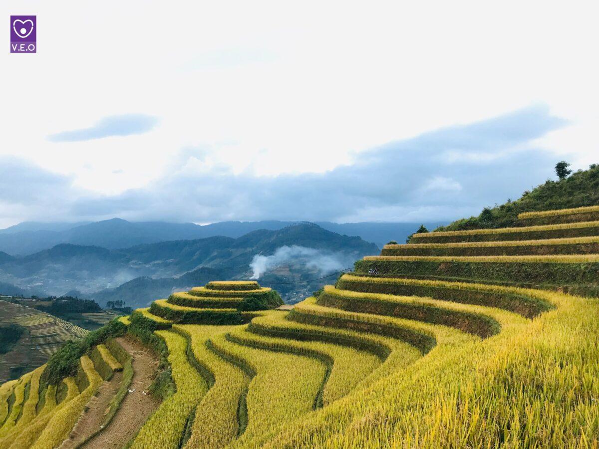 Du lịch Mù Cang Chải - Vì sao đây là điểm đến bạn không thể bỏ lỡ?