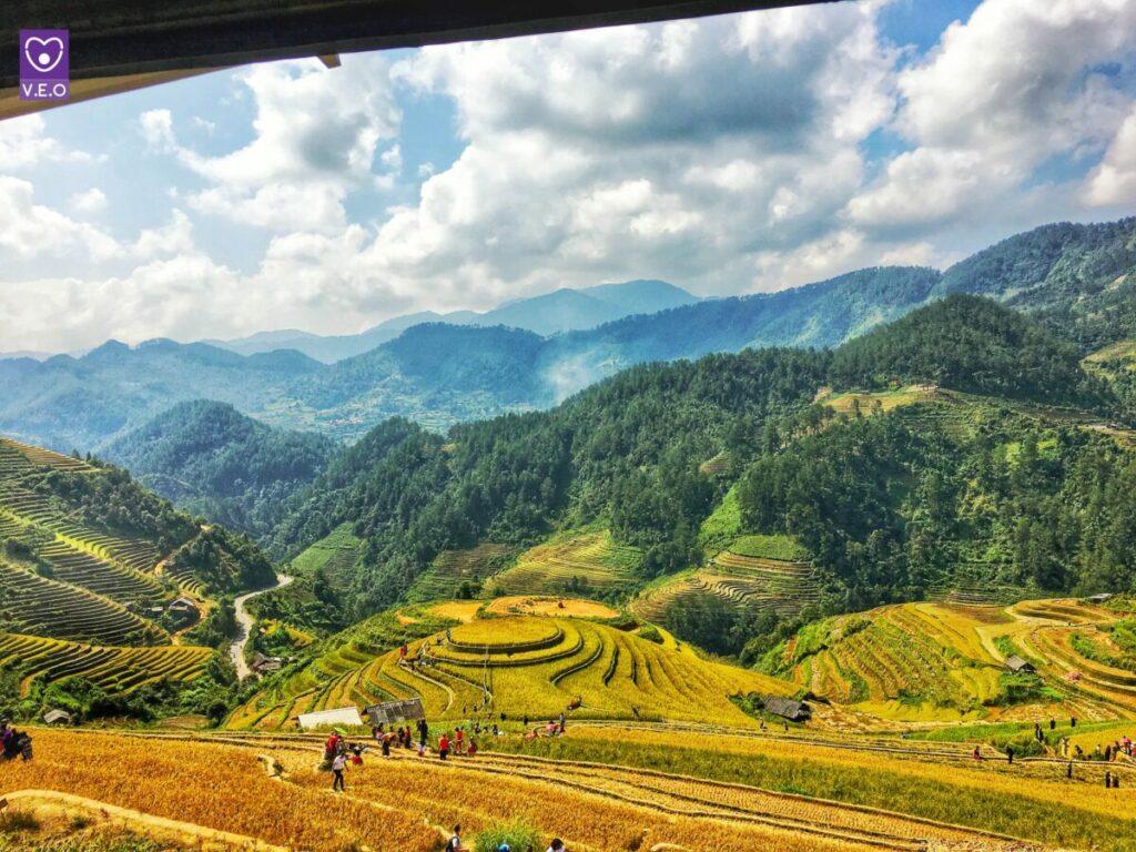 Vào mùa lúa chín, vẻ đẹp của Mù Cang Chải càng trở nên rực rỡ và quyến rũ hơn bao giờ hết