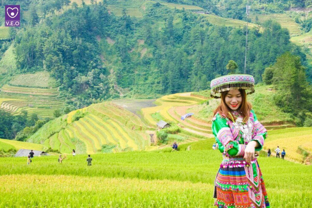 Từ giữa tháng 9, đầu tháng 10 là thời điểm lúa chín và đẹp nhất