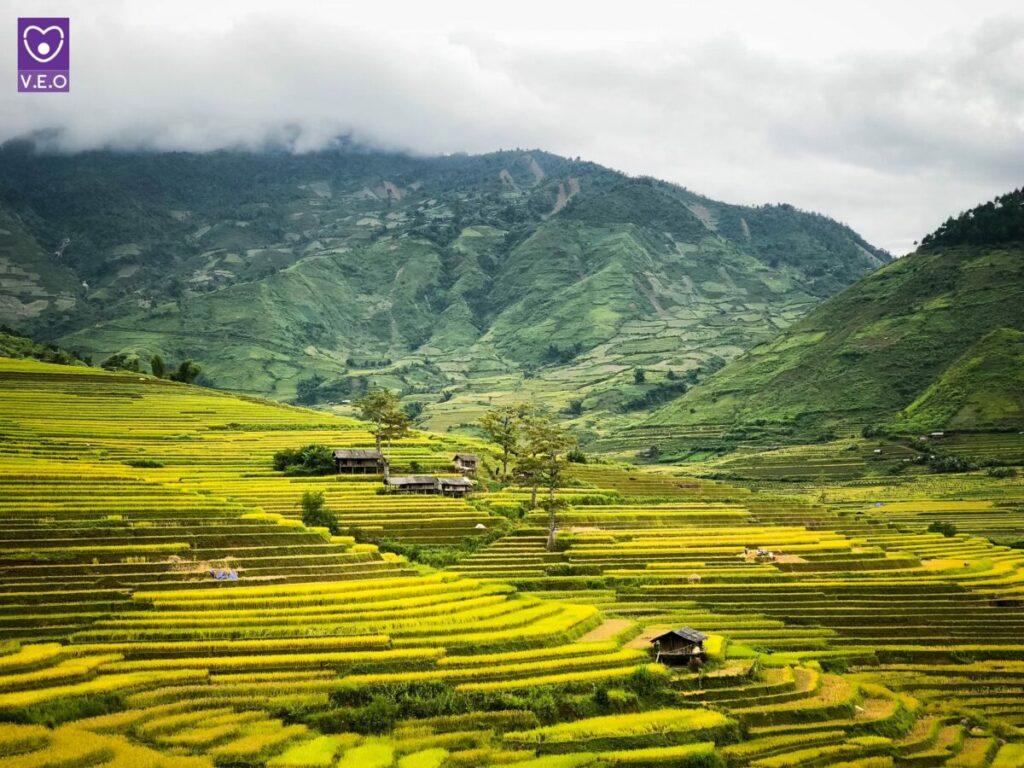 Mỗi mùa, Mù Cang Chải lại khoác lên mình một màu sắc lại mang một vẻ đẹp riêng biệt