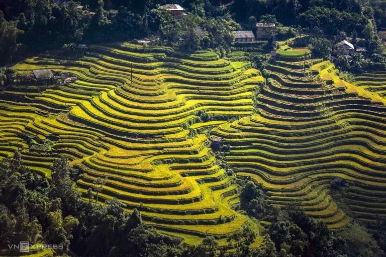 Ruộng bậc thang