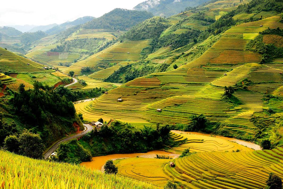 5 điểm ngắm ruộng bậc thang Mù Cang Chải đẹp nhất